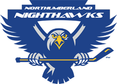 night hawks logo